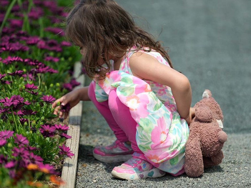 The Flower Fields at Carlsbad Ranch 2024. Photo by Chris Stone