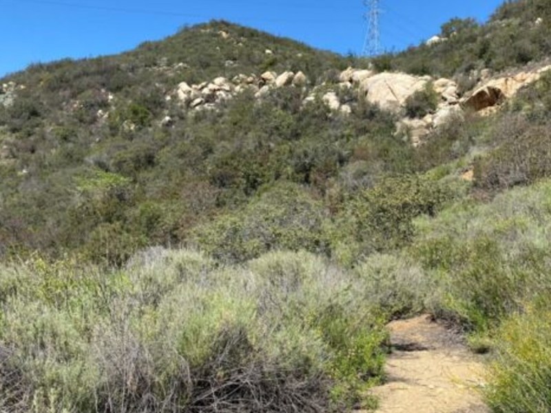 Mount Olympus County Preserve